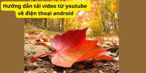 Hướng dẫn tải video từ youtube về điện thoại android